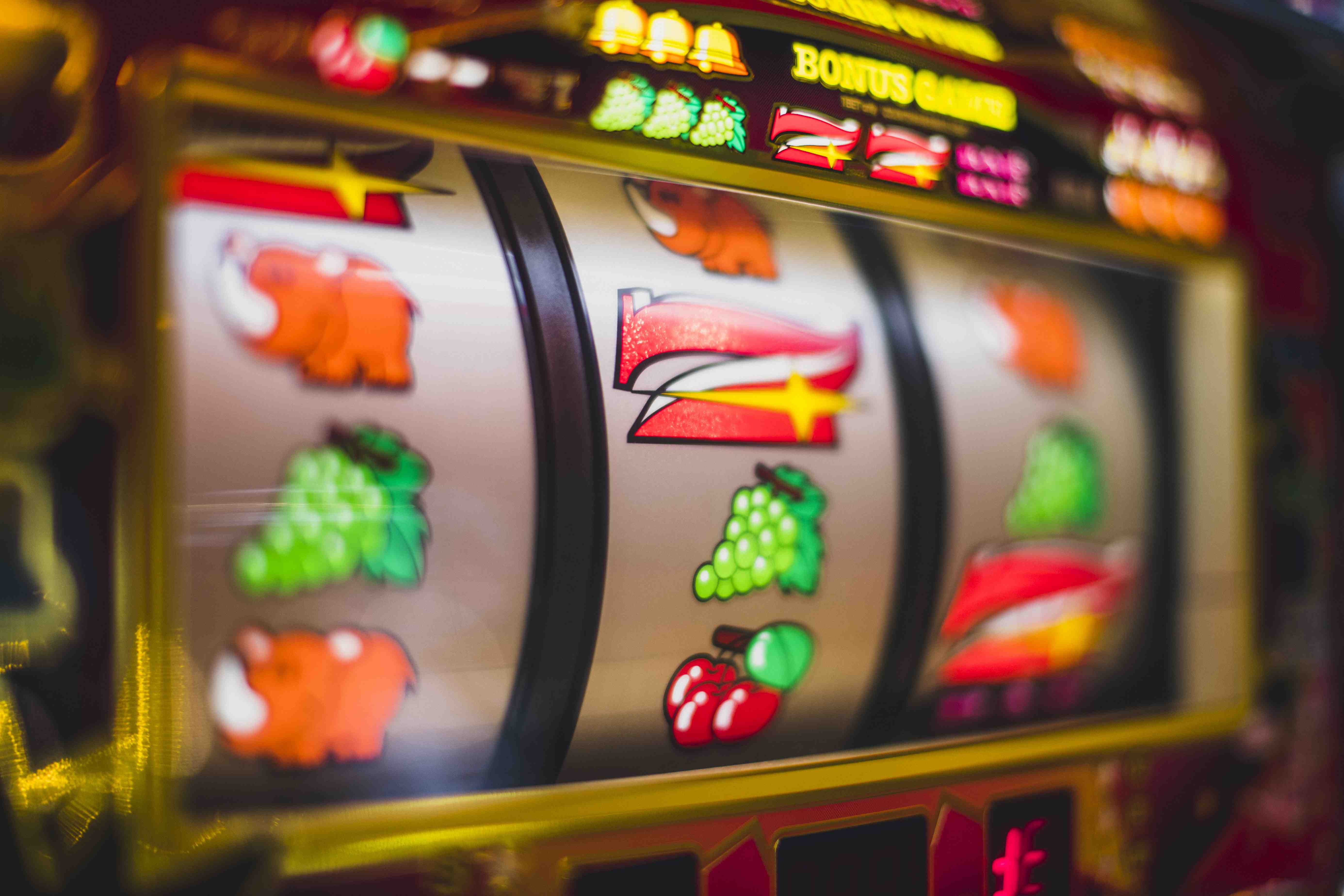 dbbet apk